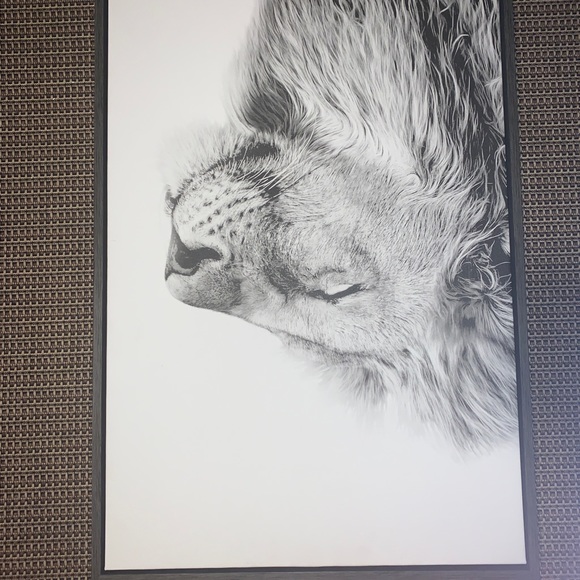 Lion canvas wooden border - Picture 2 of 6